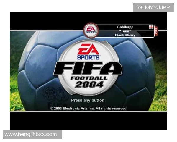 2004年全球足球明星年薪揭秘他们的收入如何影响职业生涯与市场价值